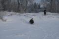 IMG_1737.jpg